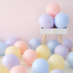 Latex Balloons Macaron Rainbow Party Balloons Thicken Round 5 Inch Glossy Helium Candy Pastel Balloons for Birthday Wedding Engagement Anniversary Christmas Festival Party Decorations 200 Pack