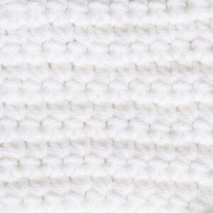 Caron One Pound Yarn - 2 Pack with Pattern Cards in Color (White)