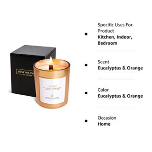 Benevolence LA Clearance Candles | Eucalyptus & Orange Wood Wick Candles | Jar Candle, 6 Oz Summer Candles, Natural Candles for Women, Scented Candle for Home Scented | Aromatherapy Candles