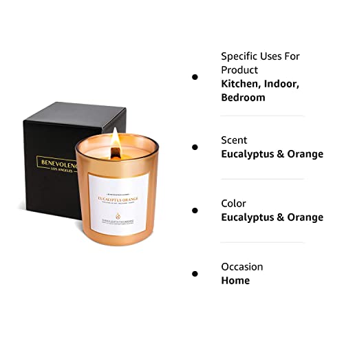 Benevolence LA Clearance Candles | Eucalyptus & Orange Wood Wick Candles | Jar Candle, 6 Oz Summer Candles, Natural Candles for Women, Scented Candle for Home Scented | Aromatherapy Candles