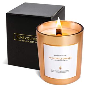 Benevolence LA Clearance Candles | Eucalyptus & Orange Wood Wick Candles | Jar Candle, 6 Oz Summer Candles, Natural Candles for Women, Scented Candle for Home Scented | Aromatherapy Candles