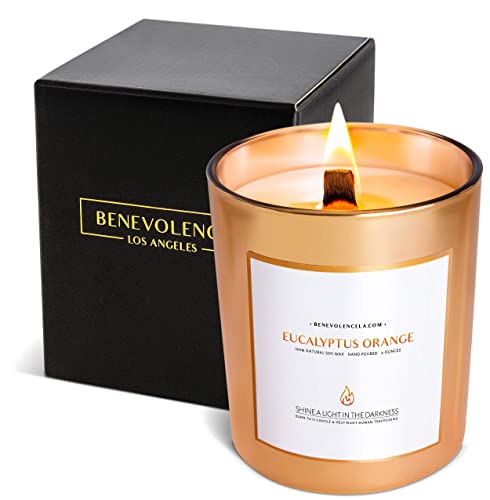 Benevolence LA Clearance Candles | Eucalyptus & Orange Wood Wick Candles | Jar Candle, 6 Oz Summer Candles, Natural Candles for Women, Scented Candle for Home Scented | Aromatherapy Candles