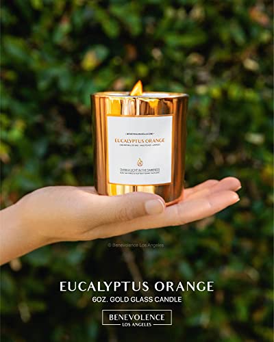 Benevolence LA Clearance Candles | Eucalyptus & Orange Wood Wick Candles | Jar Candle, 6 Oz Summer Candles, Natural Candles for Women, Scented Candle for Home Scented | Aromatherapy Candles