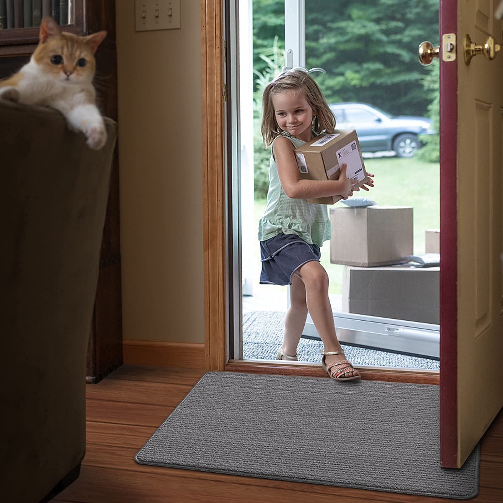 DEXI Door Mat Entryway Doormat Front Entrance Non-Slip Low Profile Washable for Inside Entry 19.5"x31.5",Grey