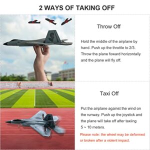 HAWK'S WORK 2 CH RC Airplane, F-22 Plane Ready to Fly, 2.4GHz Remote Control, Easy to Fly RC Glider for Kids & Beginners