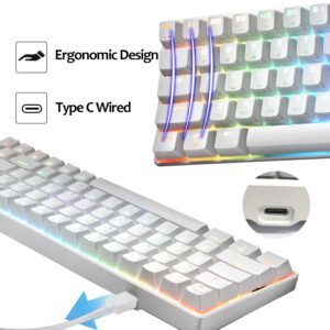 LexonElec MK 68 60% Mechanical Gaming Keyboard,Type-C Wired Computer Keyboard,18 Chroma RGB Backlit Keyboard Blue Switches,68 Keys Anti-ghosting for Laptop PC Gamer(White RGB)