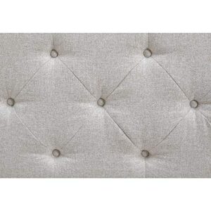 Signature Design by Ashley Briarson Tufted Upholstered Accent Bench with Storage, Beige & Brown