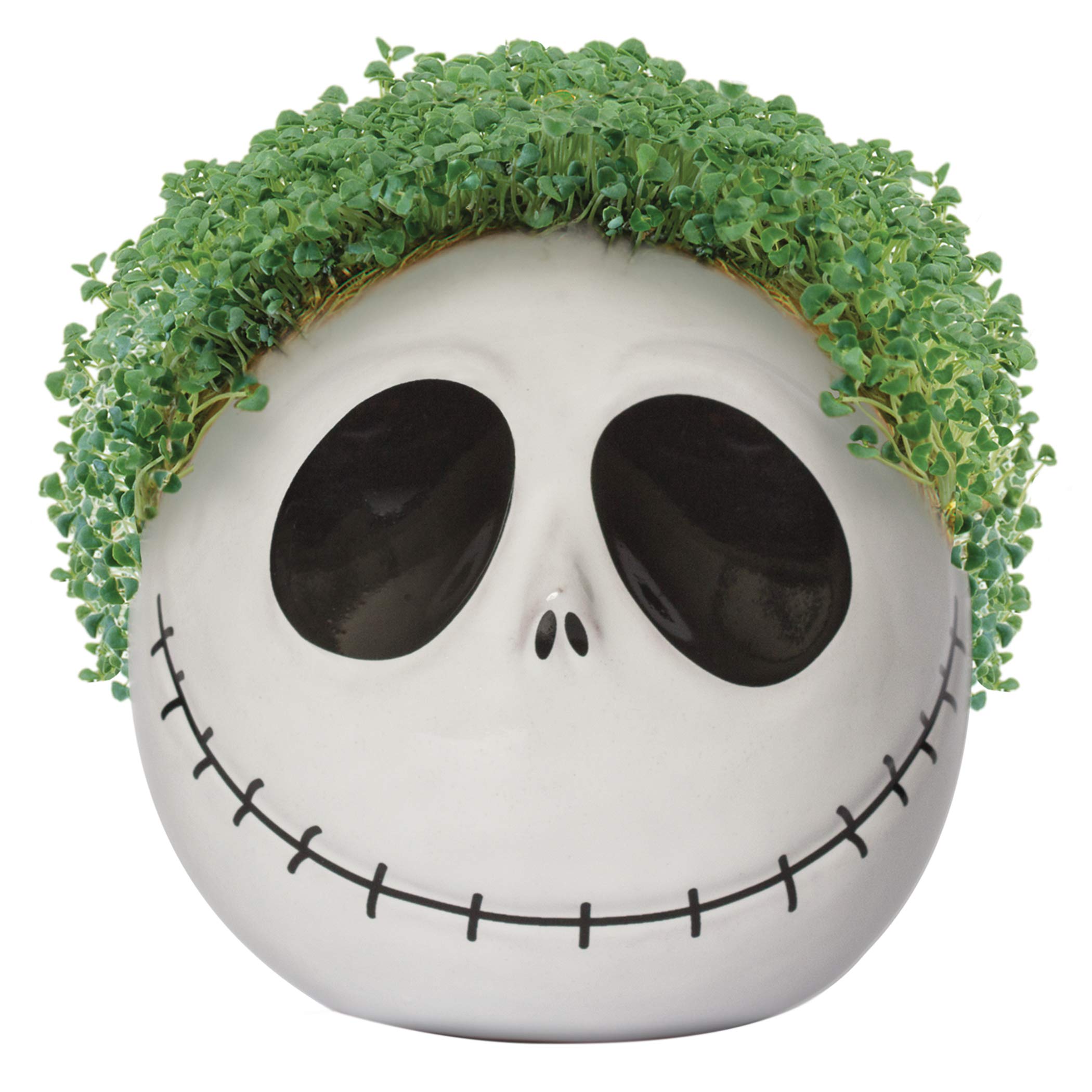 Chia Pet The Nightmare Before Christmas- Jack Skellington with Seed Pack, Decorative Pottery Planter, Easy to Do and Fun to Grow, Novelty Gift, Perfect for Any Occasion