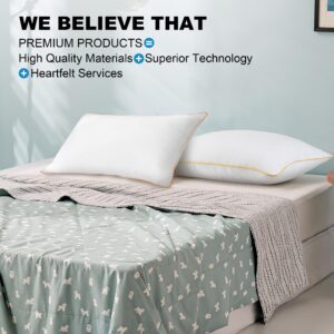 NEIPOTA King Size Pillows Set of 2 - Down Alternative Bedding, Cooling Hotel Quality 20 x 36, Bed Sleeping Pillow for Back, Stomach or Side Sleepers