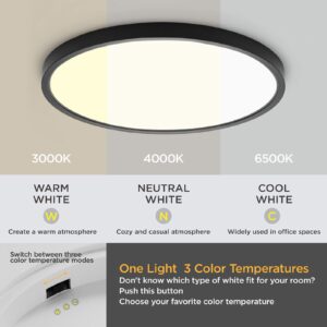 TALOYA Upgraded Flush Mount LED Ceiling Light Fixture Dimmable 3 Color in One(3000K/4000K/6500K) Black 12inch 20W=200W for Laundry Room Balcony