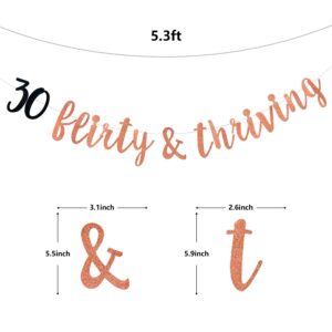 Rose Gold Glitter 30 Flirty & Thriving Banner - Cheers To 30 Years - Happy 30th Birthday Party Decoration Supplies