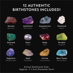 NATIONAL GEOGRAPHIC Birthstone Dig Kit - Science Kit with 12 Genuine Birthstones, includes a Real Diamond, Ruby, Sapphire, Pearl, & More, Gemstones and Crystals, Rock Collection (Amazon Exclusive)