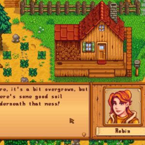 Stardew Valley [Nintendo Switch - Standard Edition]