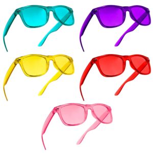 PURPLE CANYON Color Therapy Glasses 10 Pack for Chakra Healing, Chromotherapy, and Mood