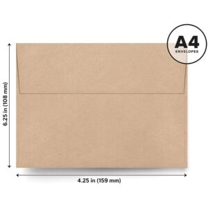 Bliss Collections Sweet Greenery All Occasion Blank Folded Cards with Envelopes, Bulk Pack of 24 Tented Notecards, 4x6 Assorted Cards for All Occasions Stationery Set