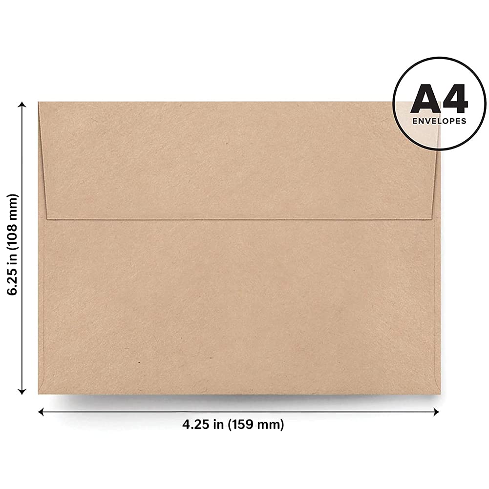 Bliss Collections Sweet Greenery All Occasion Blank Folded Cards with Envelopes, Bulk Pack of 24 Tented Notecards, 4x6 Assorted Cards for All Occasions Stationery Set