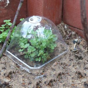 Yardwe Flower Pot Seedling Cover Humidity Dome Round Transparent Plant Dome Plastic Plant Cover Plant Cloche Plastic Freeze Protection Cloche Humidity Domes for Starting Protective Cover