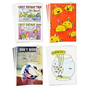 hallmark shoebox funny birthday cards assortment, 12 cards with envelopes (tacos, goldfish, bulldog)