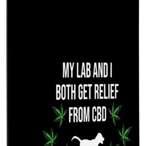 Galaxy S10e My Lab And I Both Get Relief From CBD Case