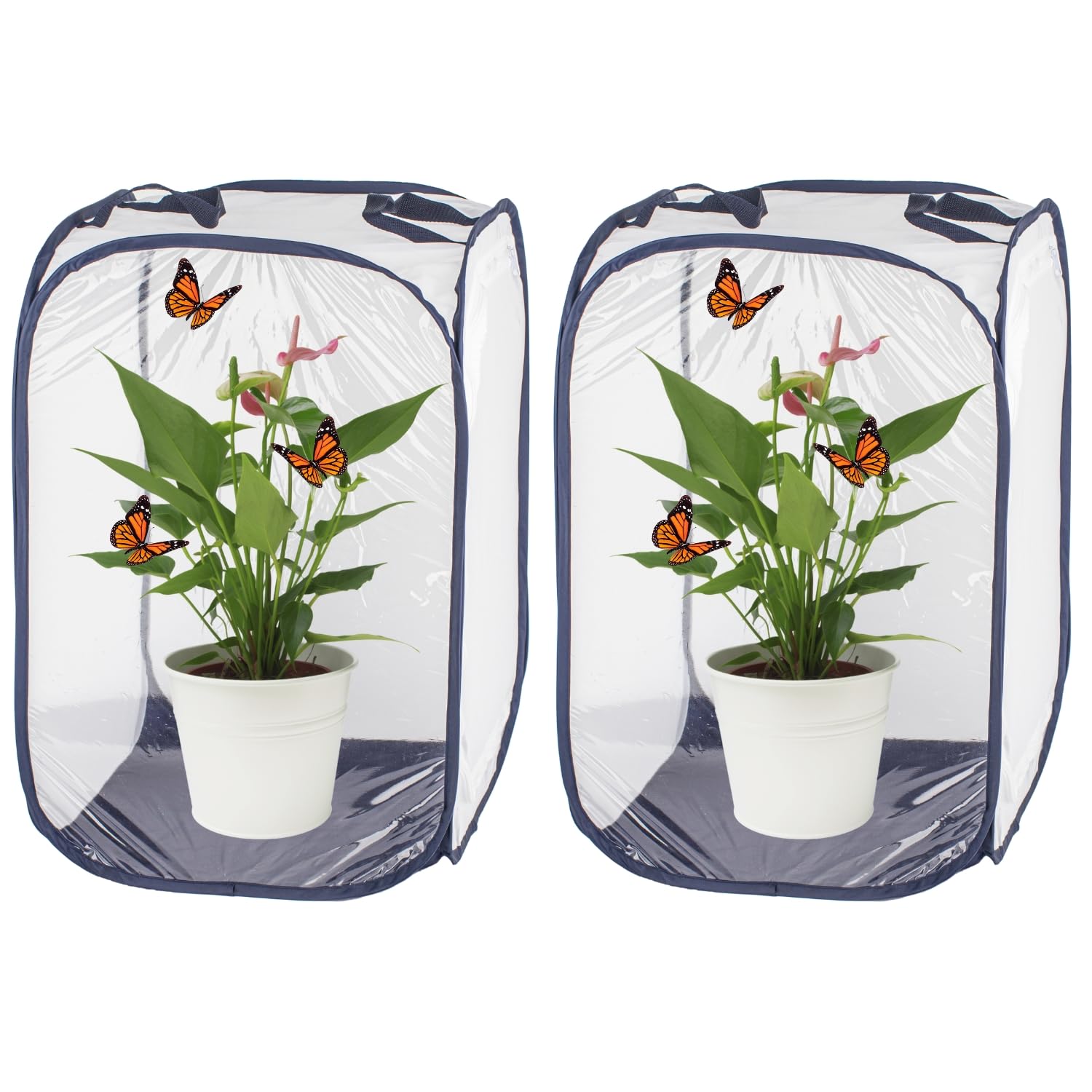 Antoll 2Pcs 24" M Size Blue Butterfly Habitat Cage, Monarch Butterfly Habitat, Butterfly Cage for Caterpillars, Flying Insect Mesh Cage, Outdoor Observation Plant, Pop-Up Open Size: 16"x16"x24"