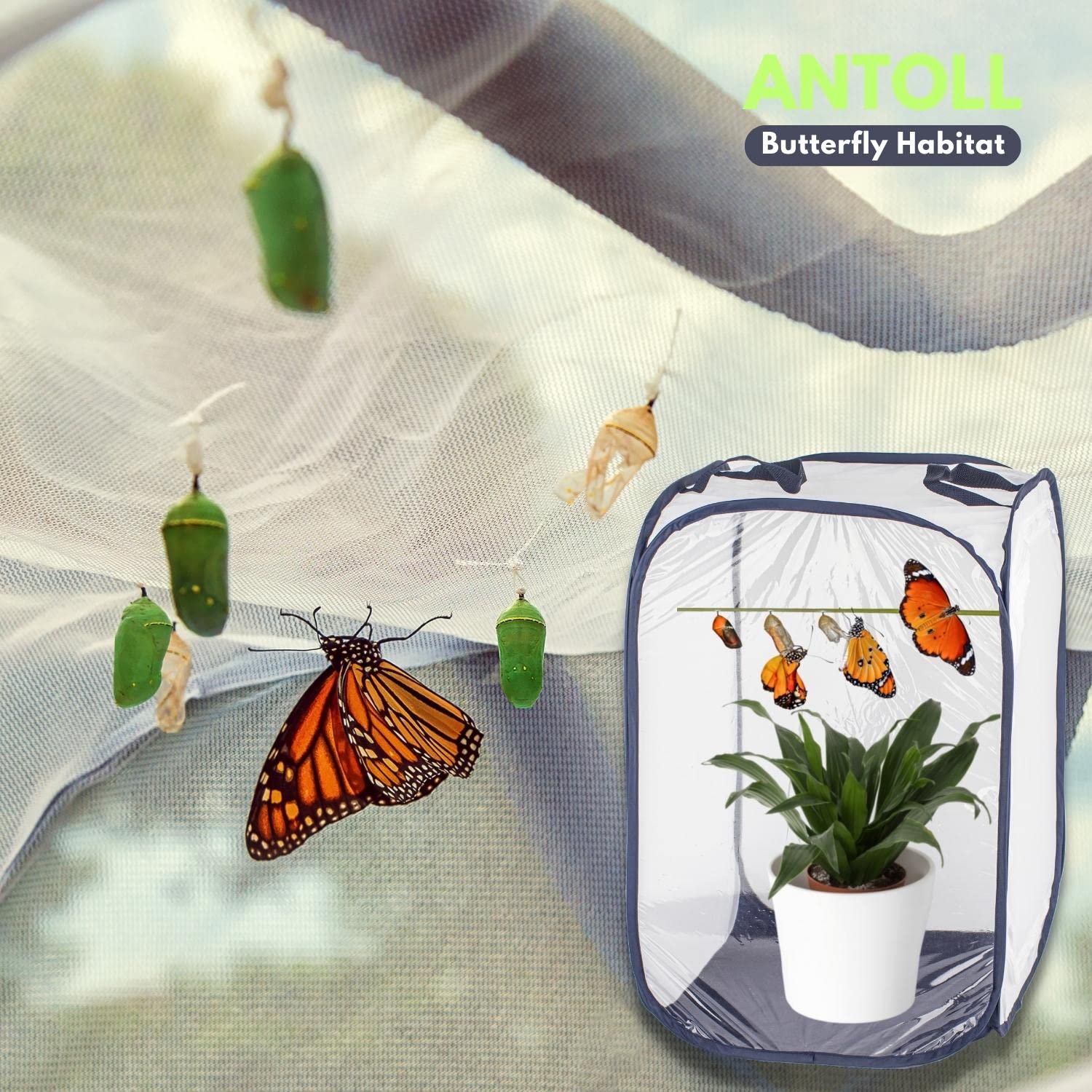 Antoll 2Pcs 24" M Size Blue Butterfly Habitat Cage, Monarch Butterfly Habitat, Butterfly Cage for Caterpillars, Flying Insect Mesh Cage, Outdoor Observation Plant, Pop-Up Open Size: 16"x16"x24"