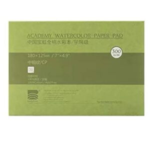 Watercolor Paper Block, BAOHONG Academy Grade Watercolor Block, 100% Cotton, Acid-Free, 140LB/300GSM, Cold Press Textured, 20 Sheets per Block (Cold Press 4.9"x7“”)