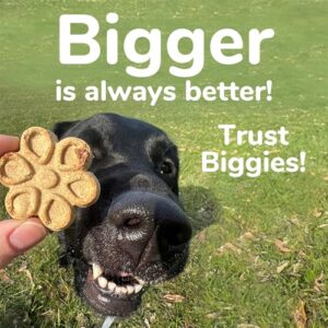 Fruitables Biggies Dog Biscuits – Crunchy Dog Biscuits Made with Pumpkin – Healthy Dog Treats Packed with Real Fruit Flavor – Free of Wheat, Corn and Soy – Peanut Butter & Banana – 16 oz