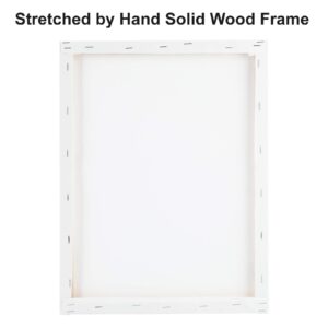 Laoife-11x14 Inch 8 Pack Professional Painting Canvas Panels Artist Blank Canvas Boards Multi Pack Wood Frame, Stretched Ready to Paint