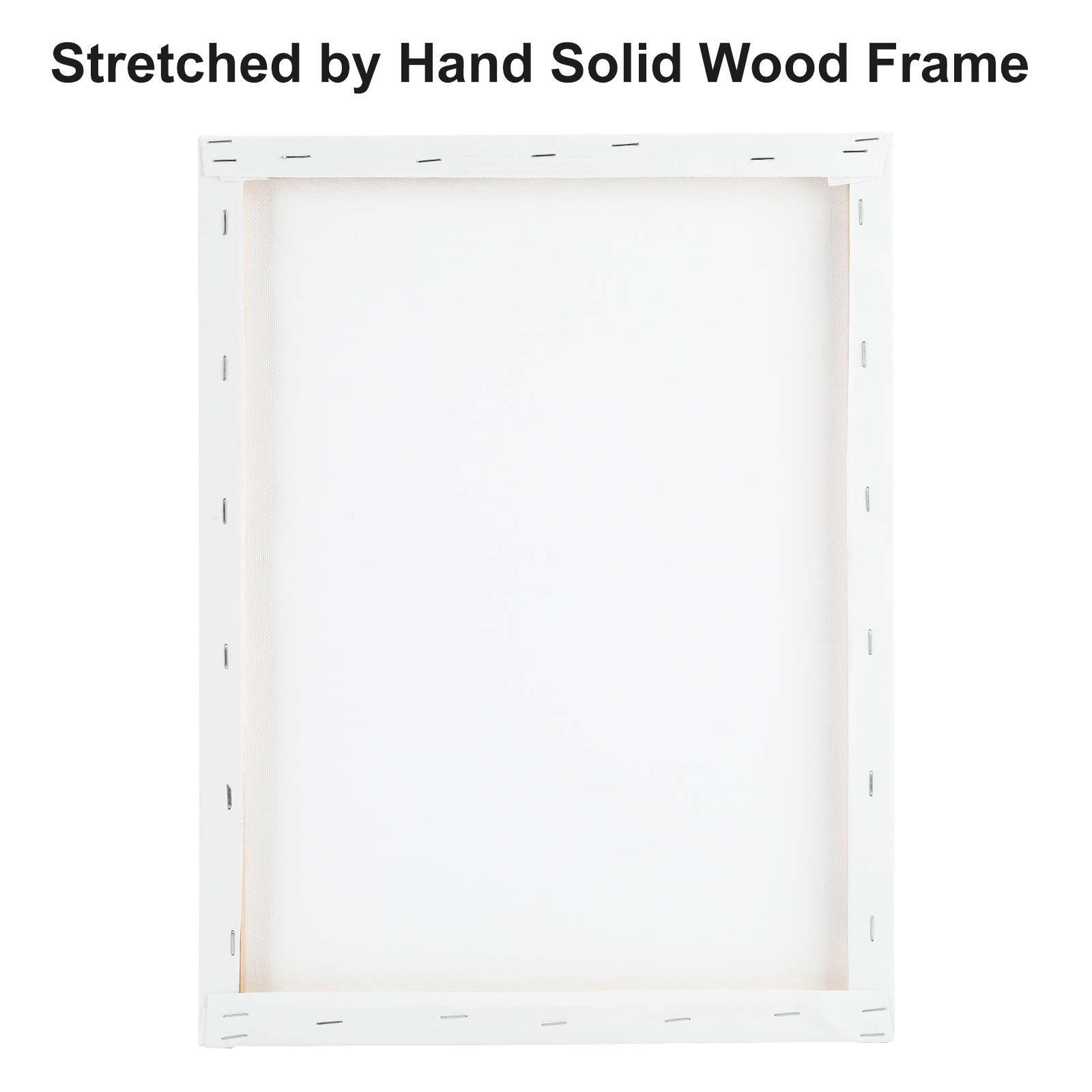 Laoife-11x14 Inch 8 Pack Professional Painting Canvas Panels Artist Blank Canvas Boards Multi Pack Wood Frame, Stretched Ready to Paint