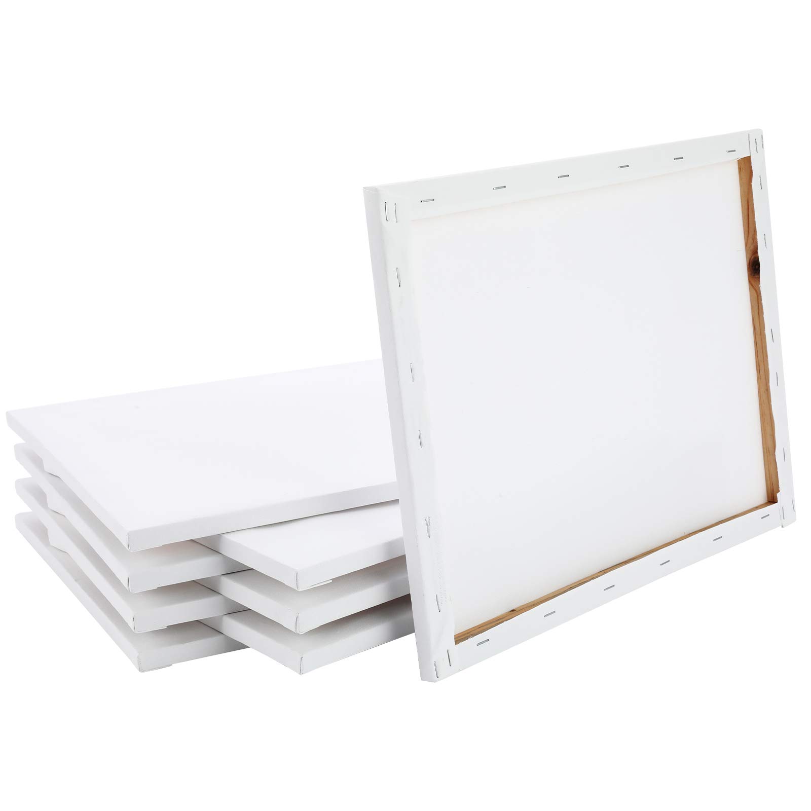 Laoife-11x14 Inch 8 Pack Professional Painting Canvas Panels Artist Blank Canvas Boards Multi Pack Wood Frame, Stretched Ready to Paint