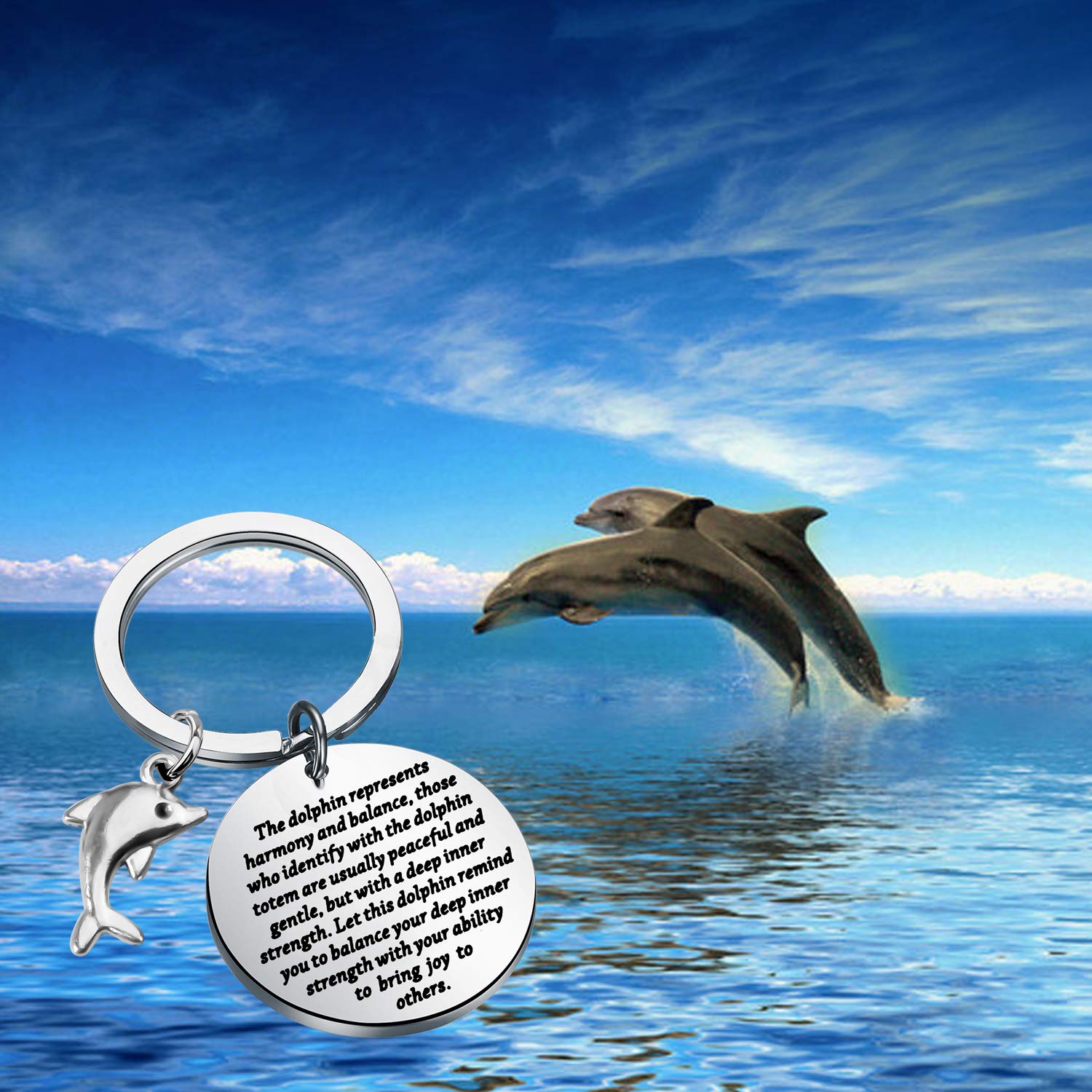 ENSIANTH Dolphin Keychain Dolphin Lover Gift Dolphin Jewelry Inspiration Gift for Friend (Dolphin Keychain)