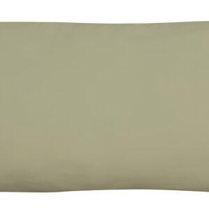 Royale Linens Body Pillow Cover - Double Brushed 1800 Microfiber - 20"x54" with Hidden Zipper Closure - Wrinkle & Fade Resistant - Super Soft Body Pillowcase 2 Pack (Sage, Pack of 2)