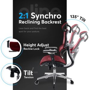 Oline ErgoPro Ergonomic Office Chair - Rolling Desk Chair with 4D Adjustable Armrest, 3D Lumbar Support and Blade Wheels - Mesh Computer Chair, Gaming Chairs, Executive Swivel Chair (Burgundy Red)