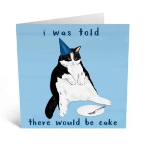 CENTRAL 23- Funny Birthday Cards for Him - 'I Was Told There Would Be Cake' - Fun Birthday Cards for Mom - Cat Birthday Card - Ideal Birthday Card for Her - Comes with Fun Stickers