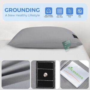 Grounding Pillowcase King with 15ft Grounding Cord Conductive Grounding Pillowcase 20x36in Silver Fiber Improve Sleep Reduce Stress Anxiety Relief Gray 1pc