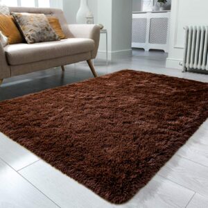 Ompaa Fluffy Area Rugs, Super Soft Shaggy Rug Fuzzy Long Fur Carpets for Bedroom Living Room Decor, 4 x 6 Feet Brown