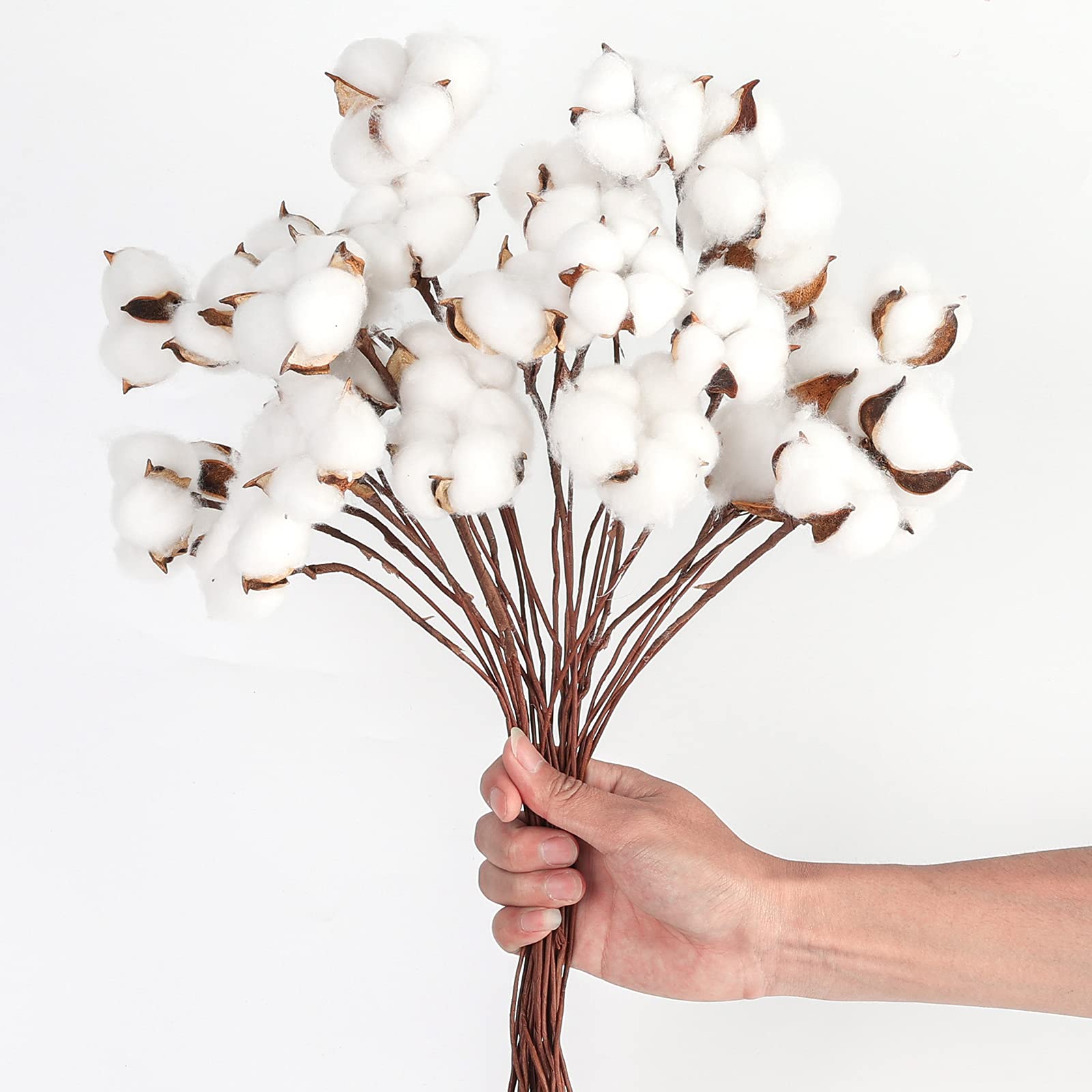 DomeStar 30PCS Cotton Stems, 15" Natural Dried Cotton 120 Cotton Balls Cotton Sprigs Cotton Blooms Floral Stems for Vase Fillers