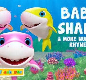 Baby Shark & More Nursery Rhymes - Little Treehouse