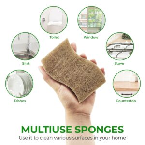 AIRNEX Natural Kitchen Sponge - Biodegradable Compostable Cellulose and Coconut Scrubber Sponge - Pack of 12 Eco Friendly Sponges for Dishes