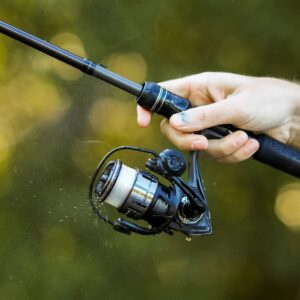 Cadence Essence Spinning Reel, Lightweight Carbon Frame and Side Plates, 9 + 1 Durable & Corrosion Resistant Ball Bearing System, Smooth and Powerful Drag