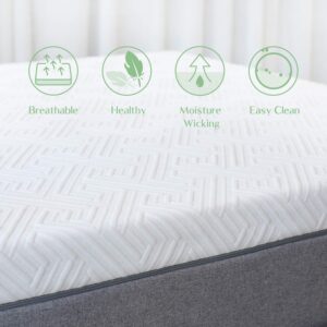 Novilla Twin XL Mattress, 12 Inch Gel Memory Foam XL Twin Mattress for Cool Night & Pressure Relief, Medium Plush Feel with Motion Isolating, Bliss