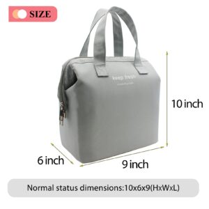 Mziart Insulated Lunch Bag Simple Bento Cooler Bag Lunch Tote Bag for Lunch Box for Women Men Adult Picnic Working Hiking Beach (Grey)