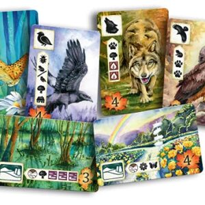 Meadow Board Game - Nature Observing Drafting and Set Collection Game, Strategic Exploration, Fun Family Game for Kids & Adults, Ages 10+, 1-4 Players, 60-90 Minute Playtime, Made by Rebel Studio