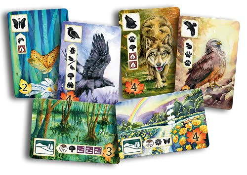 Meadow Board Game - Nature Observing Drafting and Set Collection Game, Strategic Exploration, Fun Family Game for Kids & Adults, Ages 10+, 1-4 Players, 60-90 Minute Playtime, Made by Rebel Studio