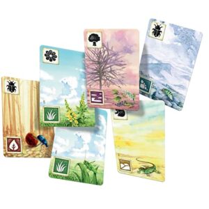 Meadow Board Game - Nature Observing Drafting and Set Collection Game, Strategic Exploration, Fun Family Game for Kids & Adults, Ages 10+, 1-4 Players, 60-90 Minute Playtime, Made by Rebel Studio