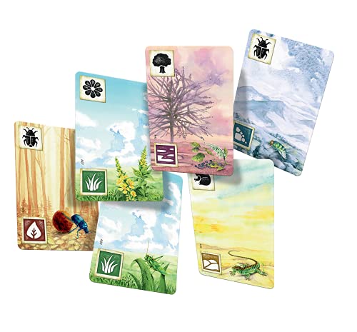 Meadow Board Game - Nature Observing Drafting and Set Collection Game, Strategic Exploration, Fun Family Game for Kids & Adults, Ages 10+, 1-4 Players, 60-90 Minute Playtime, Made by Rebel Studio