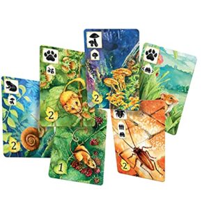 Meadow Board Game - Nature Observing Drafting and Set Collection Game, Strategic Exploration, Fun Family Game for Kids & Adults, Ages 10+, 1-4 Players, 60-90 Minute Playtime, Made by Rebel Studio