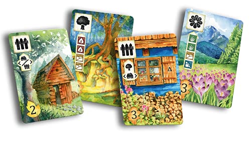 Meadow Board Game - Nature Observing Drafting and Set Collection Game, Strategic Exploration, Fun Family Game for Kids & Adults, Ages 10+, 1-4 Players, 60-90 Minute Playtime, Made by Rebel Studio