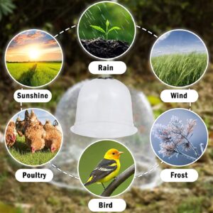 Hemoton 6pcs Plastic Plant Dome Bell Cover Garden Cloche Cover Moisturize Cover with 18 Ground Securing Pegs 10 Plant Label Humidity Dome for Seed Starter