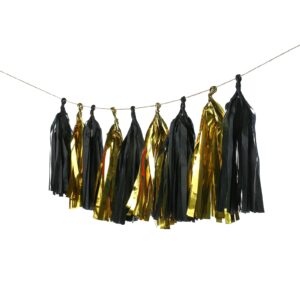 Meetppy 20PCS Tissue Paper Tassels Banner - Tassels Garland for Bachelorette Party, Birthday Party, Black and Gold Party Decorations